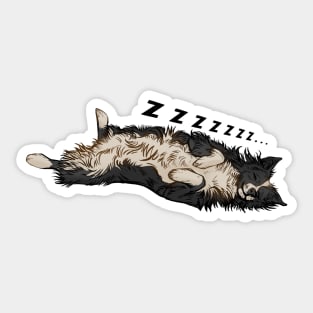 Snooze Border collie Sticker